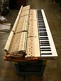 Full shot of 1920's Vintage Steinway and Sons Piano action with genuine Ivory keytop restoration