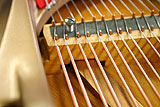 Wurlitzer Butterfly Baby Grand Piano bridge adjustment screw