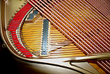 Wurlitzer Butterfly Baby Grand Piano in for restringing