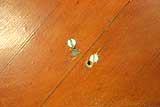 Enlarge this image Visible screws used in sloppy, bad piano repair