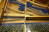 Bluthner Grand Piano with 4th string in front of main piano bridge