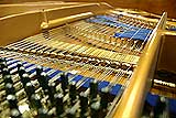 Enlarge this image Restrung Bluthner Grand Piano rebuilt