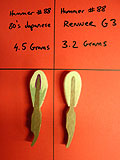 Enlarge this image Rebuilding Steinway piano #88 actions with correct action weight
