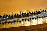 Closeup of piano bridge with termite damage