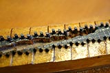 Enlarge this image Closeup of piano bridge with termite damage