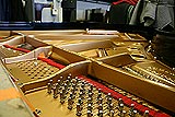 Steinert Grand Piano duplex