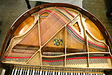 Enlarge this image Wurlitzer Butterfly Baby Grand Piano inside view