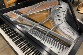 1918 Steinway Model A3 Silver and Black grand for sale • Click to enlarge