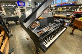 1918 Steinway Model A3 Silver and Black grand for sale • Click to enlarge