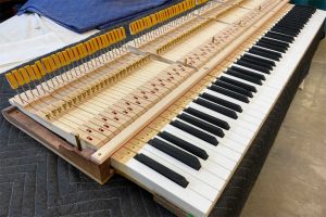 Brand new keyset for a Steinway grand piano