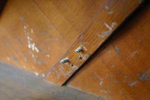 Oversized screws used in bad piano repair