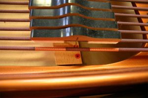 Salt air rust damage a 2 year old Bösendorfer Model 200 grand piano